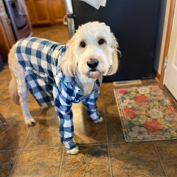 Meet your Posher, Lyndsay - Picture 2 of 2